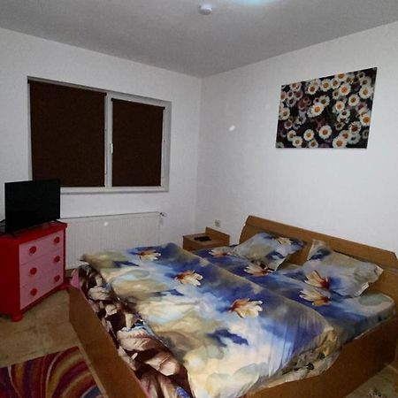 Apartament Cochet Apartment Bucureşti Ngoại thất bức ảnh